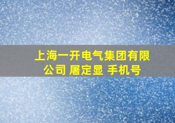 上海一开电气集团有限公司 屠定显 手机号